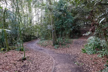 Parc de Bourran de Merignac (4).